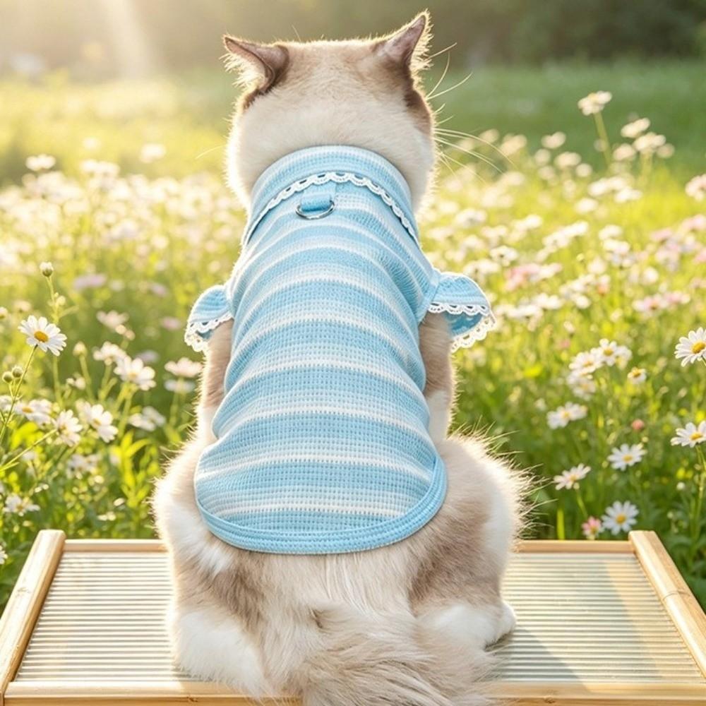 Ruffle Sleeves Dog Lace Knit Vest Stripe Design Pet Hoodie Lightweight Dog T-Shirt Photography