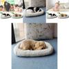 Perro de peluche realista con respiración, decoración para el hogar con piel sintética para fotografía y regalo.