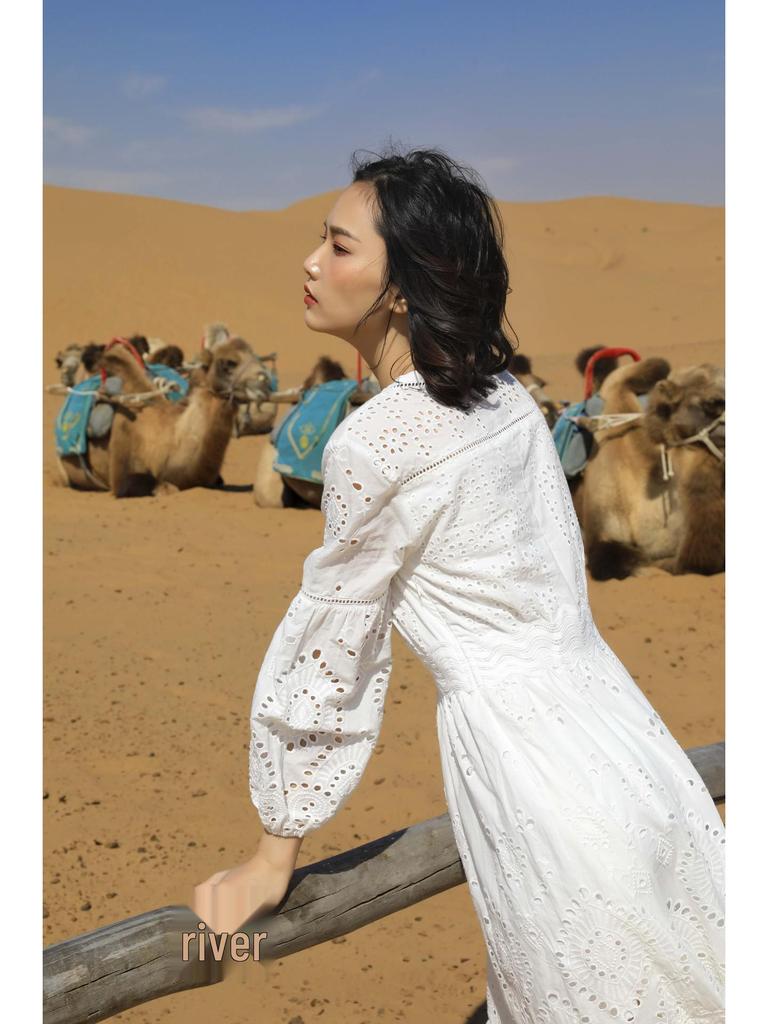 Spring/Summer 2025 Women's White Pure Cotton V-neck A-line Long Dress - F2075