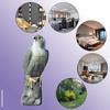 1 Pcs Outdoor Falcon Bald Eagle Figure Bird Scarecrow Horned Decoy Small Eagle Decoy Statue Bird Control Protectors