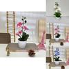 Butterfly Orchid Artificial Flower With Realistic Design For Home Decor And Photography Use