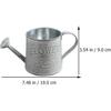 Artibetter 2pcs Tin Watering Can Vases for Centerpieces Mini Flower Pots Mini Metal Buckets Retro Flower Pot Bucket Plants Watering Pot Watering Can