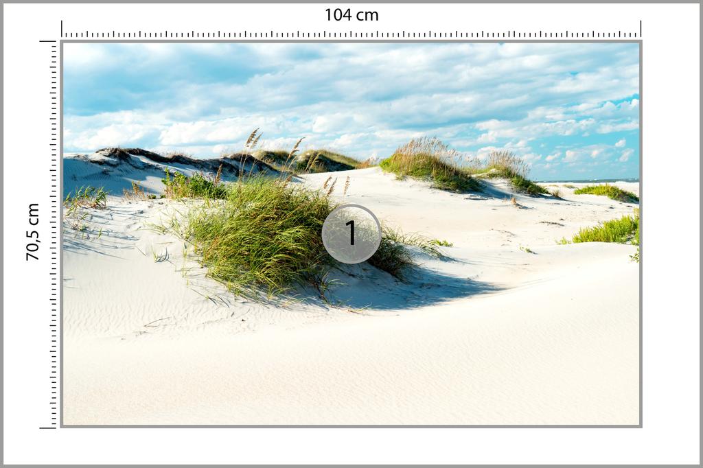 Photomural Afternoon In The Dunes Iq-1208-A Washable Fleece 104x70.5