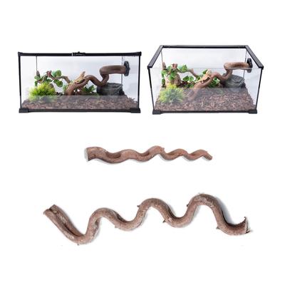 Sürüngen – Sürüngen Terraryumları
