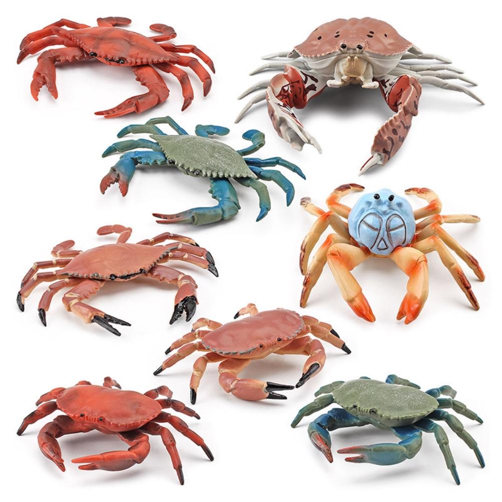 8Pcs Realistic Sea Animal Figures Simulation Static Crab Figurine Cognitive Educational Model