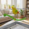 Plastic Bird Perch Stand Simulation Bird Bird Chewing Stand  For Small Medium Parrots