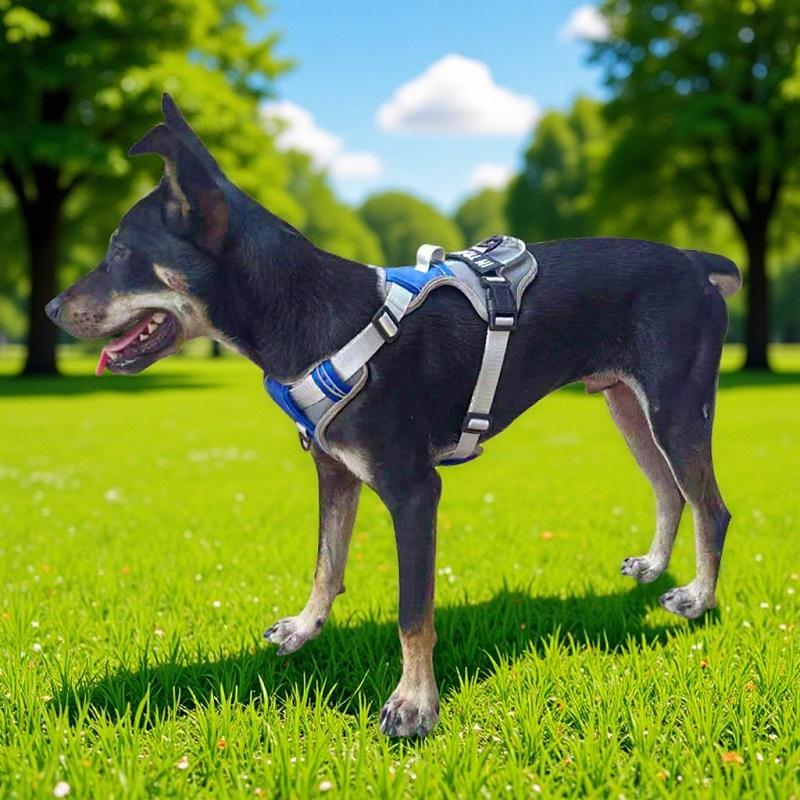 Nylon Hunde Geschirr Weste Reflektierendes Hunde Geschirr Personalisiert Atmungsaktiv Verstellbares Haustier Geschirr Leine Für Kleine Mittlere Große Hunde