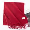 New Solid Color Maillard Imitation Cashmere Scarf for Women Autumn and Winter High End Warm Shawl Simple Scarf