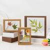 3D Double-Sided Glass Frame for Plant Specimens and Dried Flowers