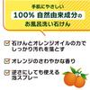 PAX NATURON Bath Soap (Refill / Orange Scent / 450ml) 100% Natural, Additive-Free Bath Cleaner (Deep Cleansing / Foam Spray) by Taiyo Yushi