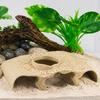 Plastic Shrimp and Fish Cover Cave with Raised Cover Space for Water Pet Use, Shelter Value and Display Use Daily