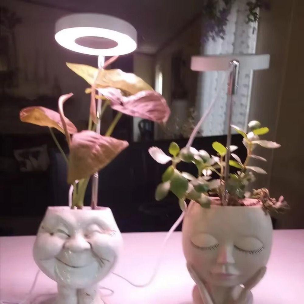 Höhenverstellbare LED Pflanzenwachstumslampe 1/2/3/4 Köpfe Decken-Wachstumsringlampe Sukkulente