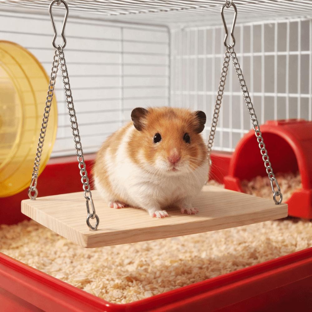 Bite Resistant Hamster Swing Toys Durable Cockatiel Swing Ladder Parrot Hanging Bed Training