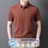 Summer Men's Middle-Aged & Young Lapel Collar Fashion Trendy Short Sleeve T-Shirt Polo Shirt