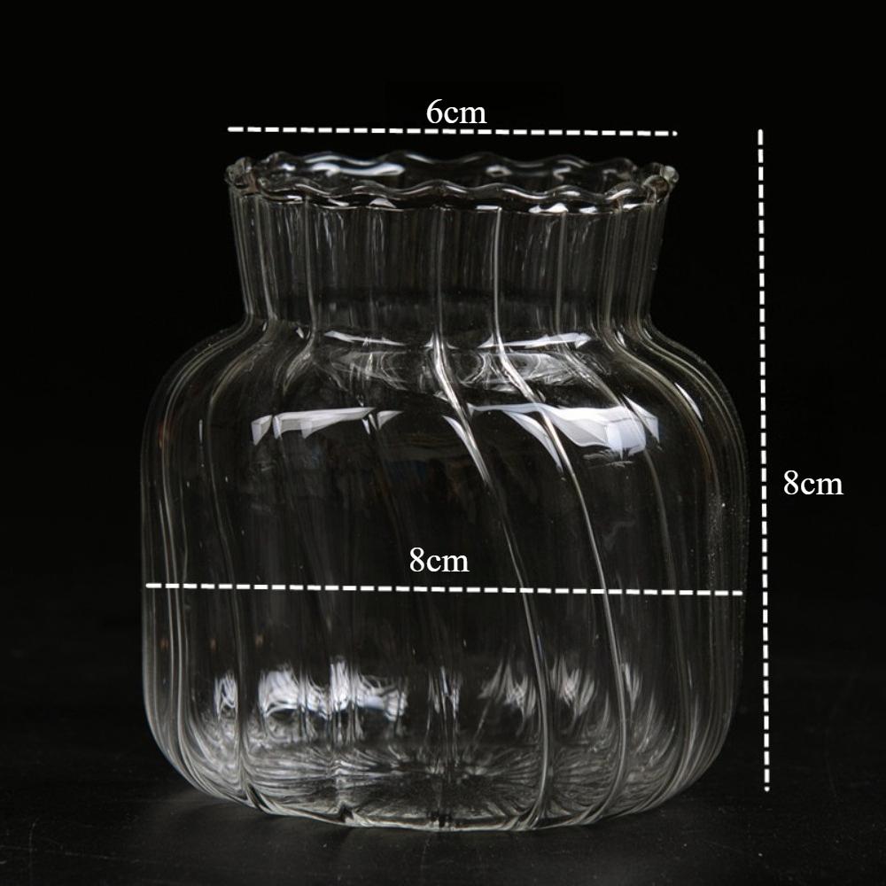 Nordic Creative Transparent Vases Striped Glass Vases Hydroponic Planter for Home Decor Plant Lover Gift Flower Table Vase