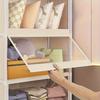 Clear Plastic Multi-Tier Storage Cabinet | Dustproof Floor-Standing Organizer with Transparent Shelves, Classic Style for Bedroom, Wardrobe, Office