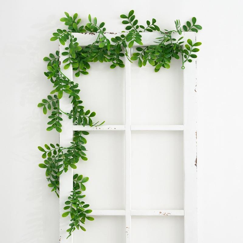Plastic Common Plant Bowringia Wall Hanging For Wedding Home Interior Decor