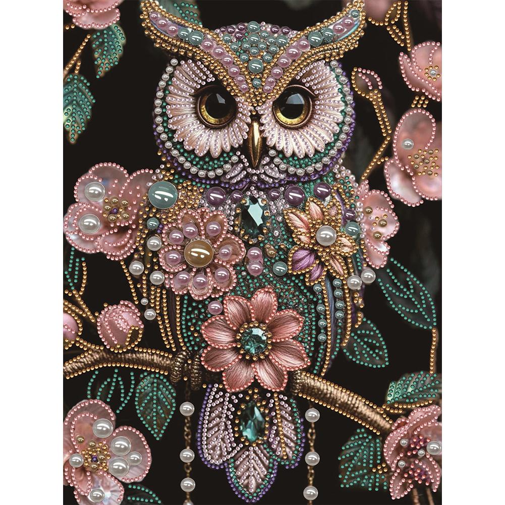 Sieraden Dier Speciaal Vormgegeven 5D DIY Gedeeltelijke Boor Diamant Schilderen Kits voor Volwassenen Huisdecoratie Diamant Kunst Kit 11.81x15.75inch