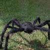 Halloween Plush Spider 30-200cm Outdoor Giant Spider Decor Chamber Prank Black Spider, Horror Halloween Decoration Party Prop