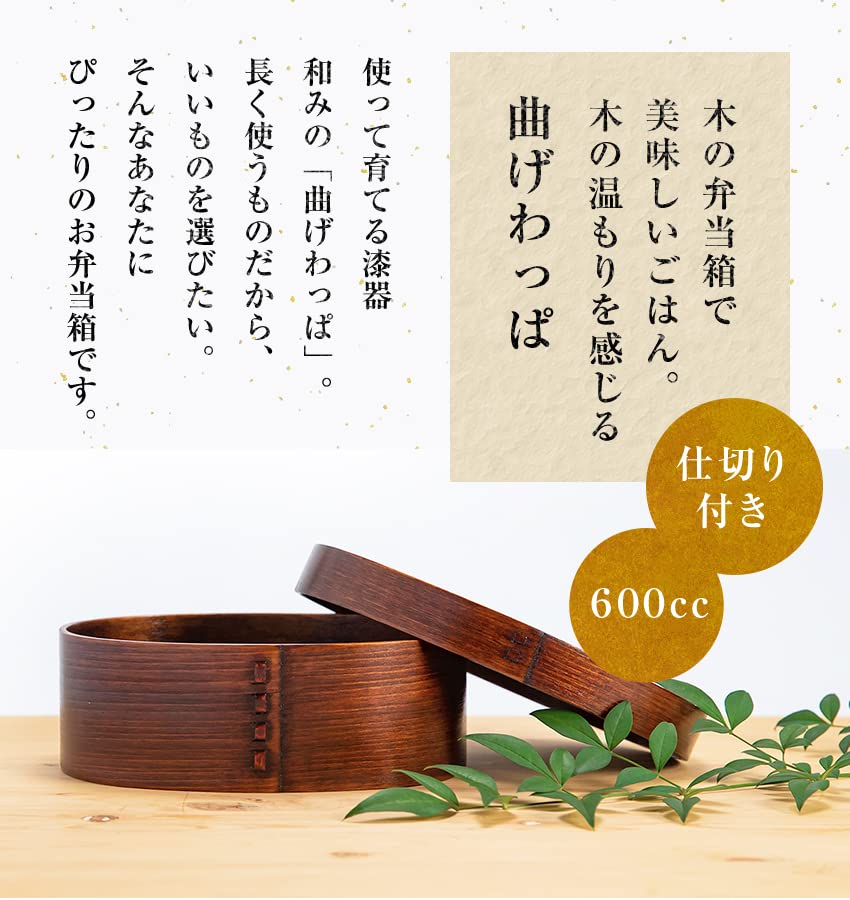 Osaka Choseido Magewappa Bento Single Lunch Bonus Brown Band Box, Oval, Tier, Divided, Band, Included, Large, 600cc,