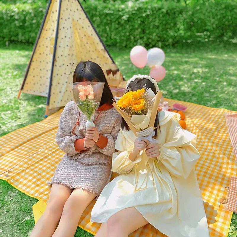 Waterproof Thickened Non-Woven Outdoor Picnic Mat - Moisture-Proof and Portable