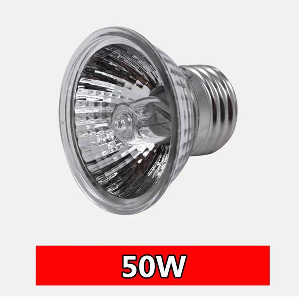 Kaplumbağa, Kertenkele, Sürüngen, Güneşlenme Arka Işığı, Sürünen Evcil Hayvan, UVB Işığı, Otomatik Zamanlama, Küçük Güneş, Evcil Hayvan, Kalsiyum Takviyesi ve Isıtma