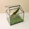 Glass Terrarium Micro-Landscape: Moss Ecological Green Plant Box & Reptile Rainforest Tank