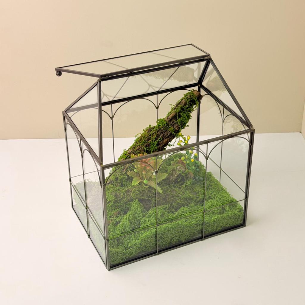 Glass Terrarium Micro-Landscape: Moss Ecological Green Plant Box & Reptile Rainforest Tank