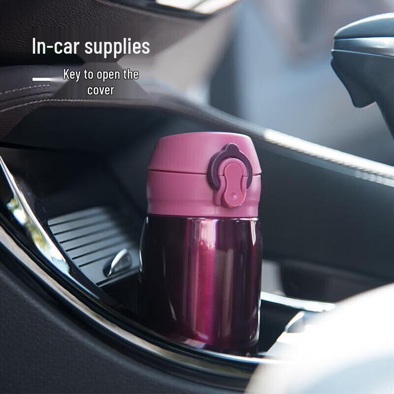 Aiqiwo AI-D96 Stainless Steel Insulated Bottle