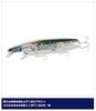 SHIMANO Minnow Exsence Silent Assassin 140S Flash Boost 008 F