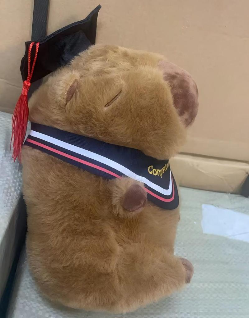 23Cm Graduation Capybara Plush Dolls Stuffed Animal Doctoral Cap Graduation Plush Toys Graduation Gifts