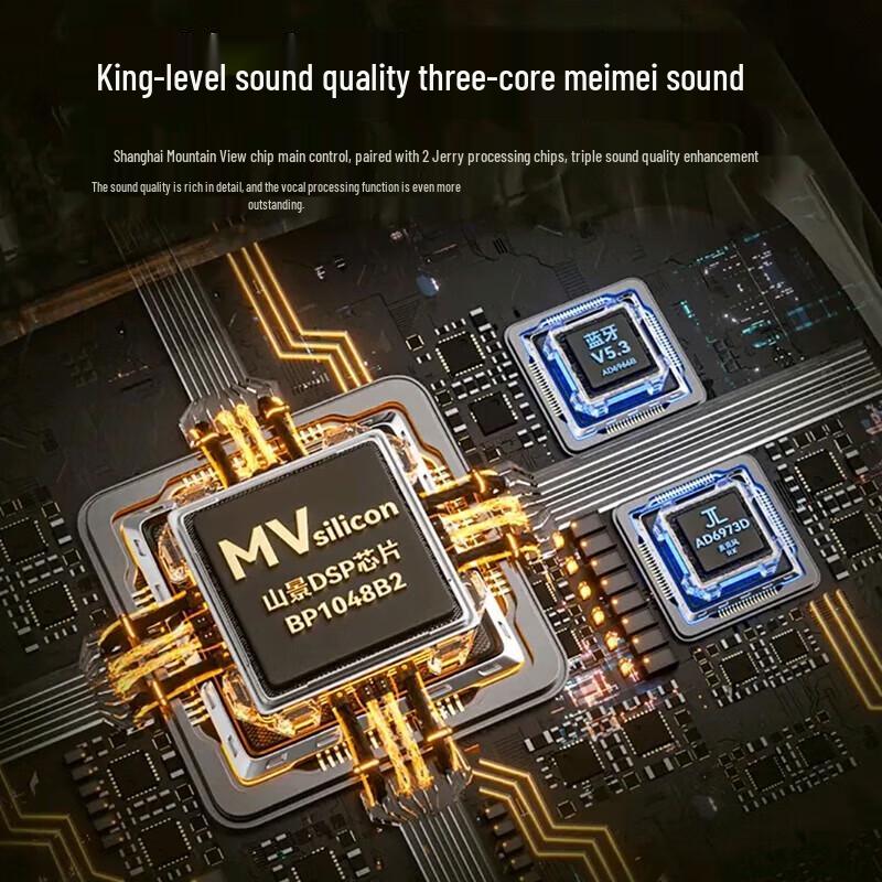 Soaiy SG12 KTV & Guitar All-in-One Sound Card Speaker