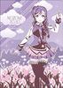 Love School Idol Project Clear File Tojo Nozomi SUNNY DAY SONG Live!