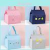 Insulated Lunch Bag With Portable Handle For Fresh Food And Cold Storage