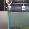 Aquarium Auto Top Off System Fish for Tank Water Filler Compensator with Adapter