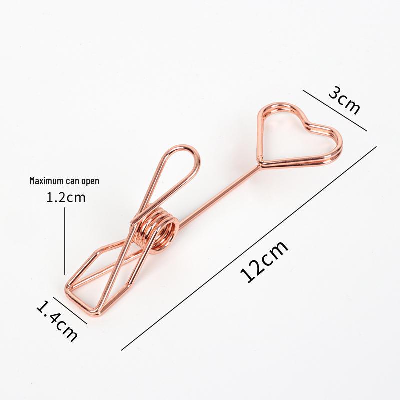 Support Clip Double Face en Acier Inoxydable pour Notes et Photos