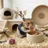 Cute Adorable Hamsters Apparel with Buckle Breathable Cozy Pet Vest Warm Fabric Soft Small Pets Clothing Four Seasons