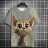Funny Animal Cat Pattern 3D Print Men's T-Shirts Summer Women Streetwear Fashion Oversized Unisex T Shirt Men Clothing