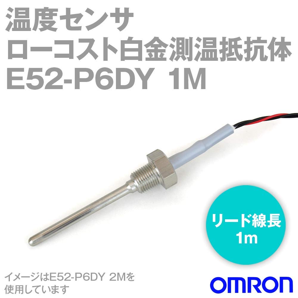 Omron Low-Cost Platinum Resistance Thermometer E52-P6DY 1M