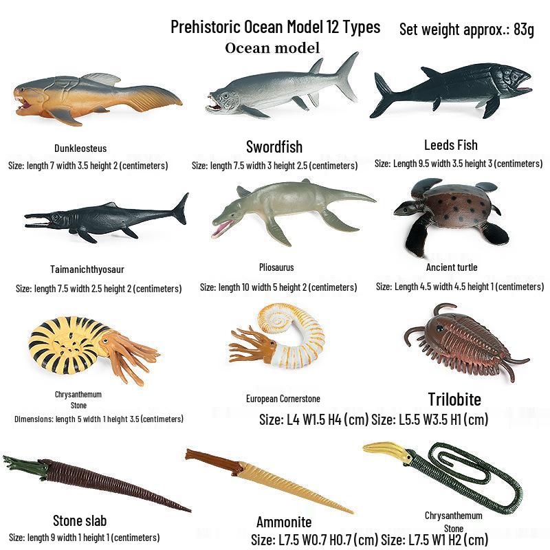 Children's Cognitive Toys: Frog Tadpole Growth Cycle Models