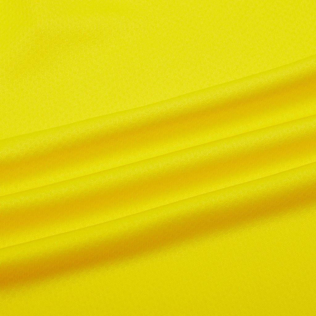 PUMA BVB REPLICA Soccer Bottom Men's Yellow 759078-01