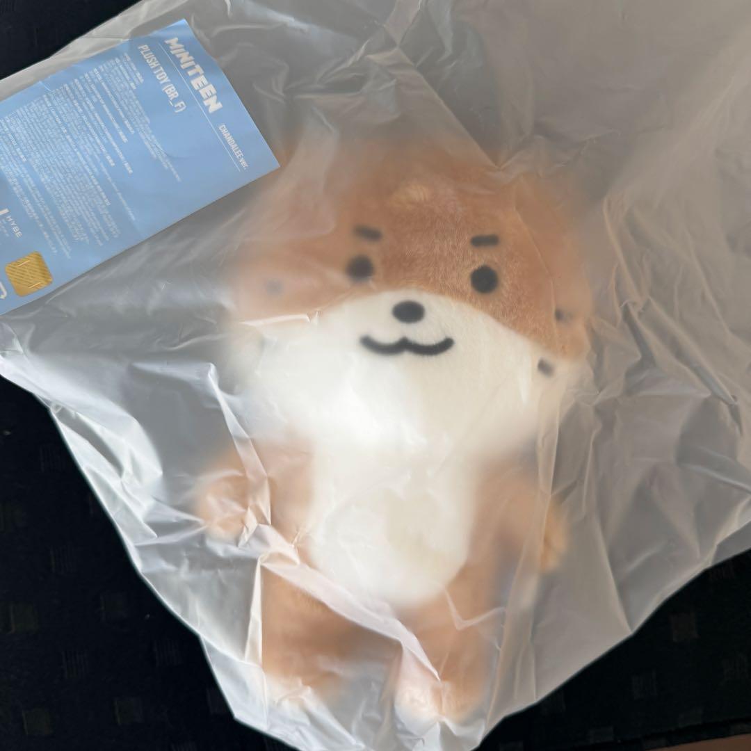 [USED] MINITEEN Mini Teen Chandari Plush Toy