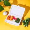 Fangjiajie Disposable Plastic Lunch Boxes with Lid