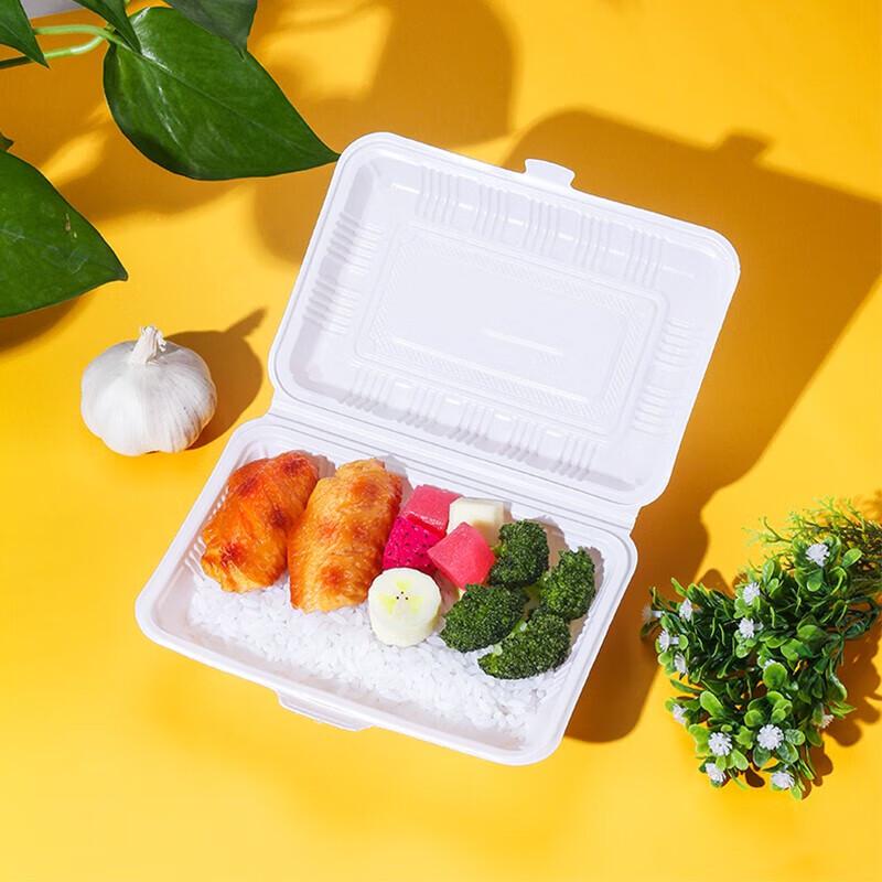 Fangjiajie Disposable Plastic Lunch Boxes with Lid