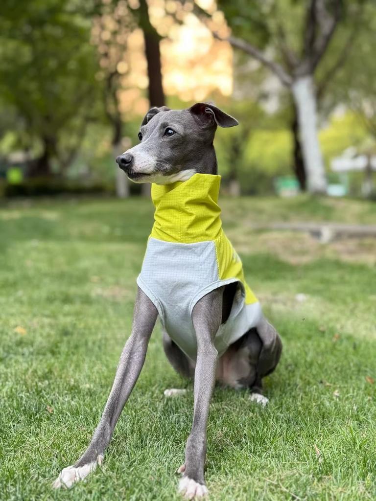 Sleeveless Pet Dog Vest,Quick-Dry Breathable Tee for Small Medium Dogs, Outdoor Dirt-Resistant Puppy Clothing & Summer Drysuit