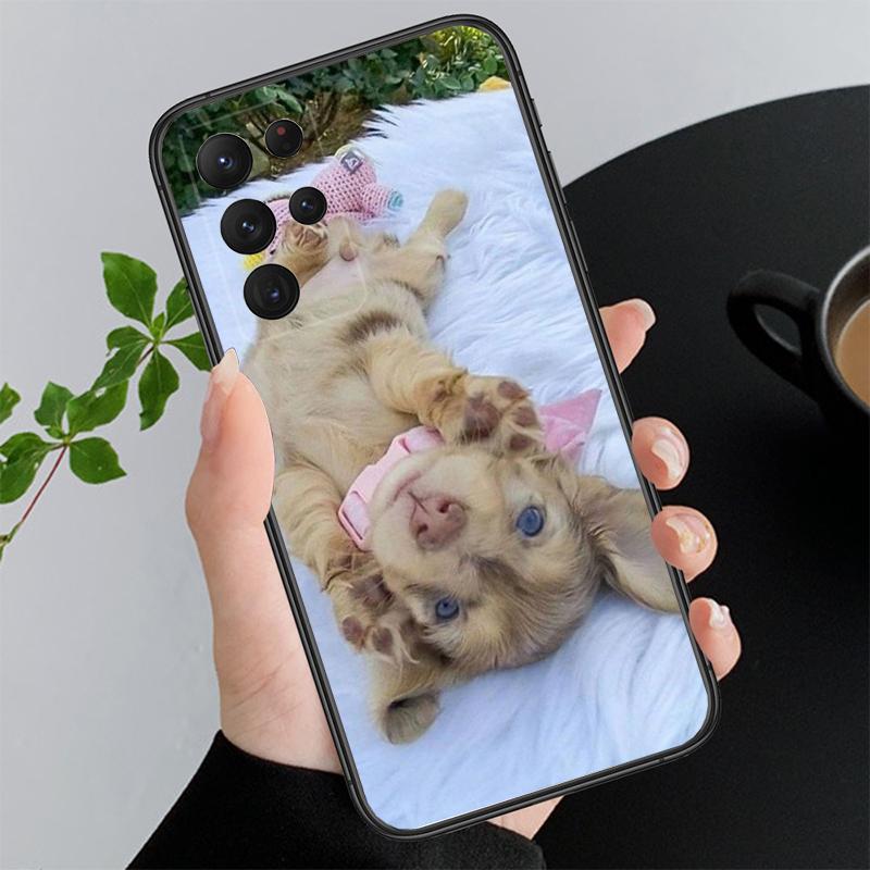 

Phone Case For Samsung A55 A16 A56 A36 A35 A15 A53 A54 A33 A34 A25 A05S A52 A52S A14 A26 A71 Dachshund Dog A26