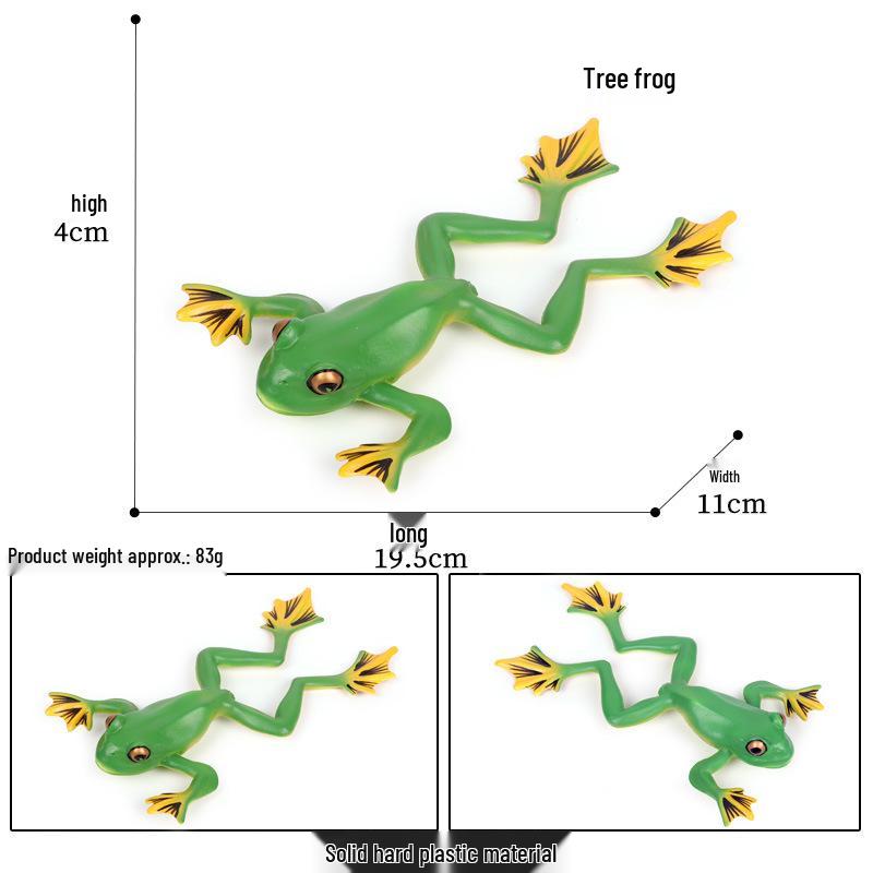 Children s Cognitive Amphibian Model Toy - Tree Frog, Field Frog, Toad Wildlife Ornament.