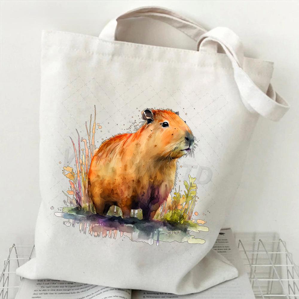 Fun Cartoon Canvas Storage Bag Large Capacity Shoulder Bag Women'S Shopping Bag Environmental Protection Bag Casual Messenger Bag