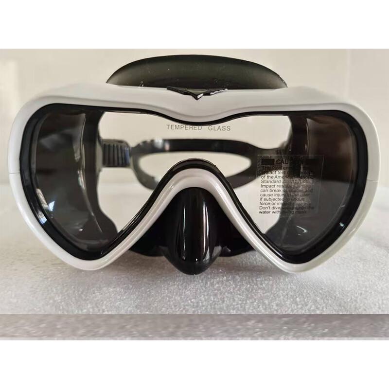 WEZHO Adult Anti-Fog Snorkel & Dive Mask