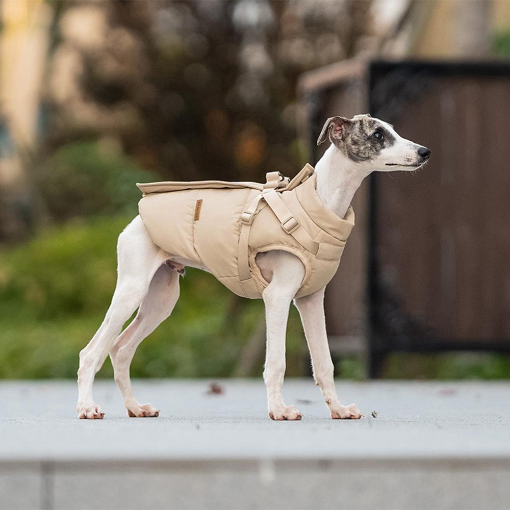 Autumn Winter Pet Clothes Outdoor Dog Jacket with Harness for Small Medium Dogs Thick Warm Pet Cotton-Padded Clothing